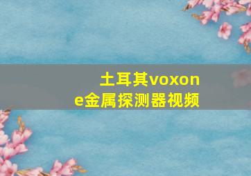 土耳其voxone金属探测器视频