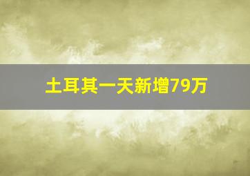 土耳其一天新增79万