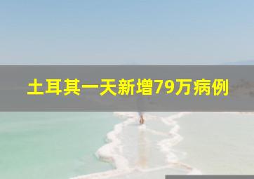 土耳其一天新增79万病例