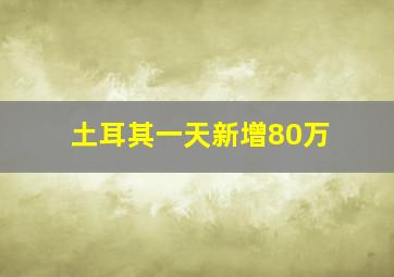 土耳其一天新增80万