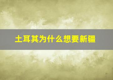 土耳其为什么想要新疆