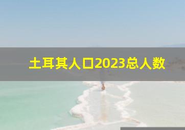 土耳其人口2023总人数