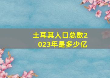 土耳其人口总数2023年是多少亿