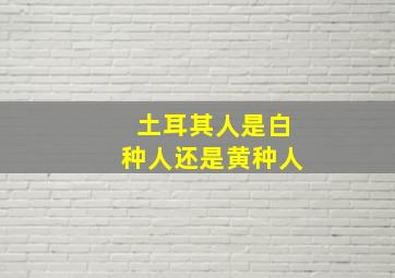 土耳其人是白种人还是黄种人