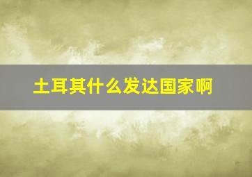 土耳其什么发达国家啊