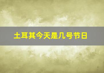 土耳其今天是几号节日