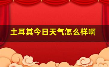 土耳其今日天气怎么样啊