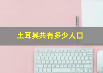 土耳其共有多少人口