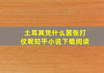 土耳其凭什么嚣张打仗呢知乎小说下载阅读