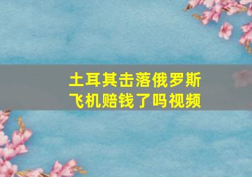 土耳其击落俄罗斯飞机赔钱了吗视频