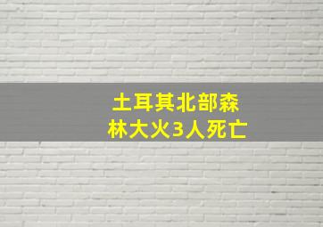 土耳其北部森林大火3人死亡