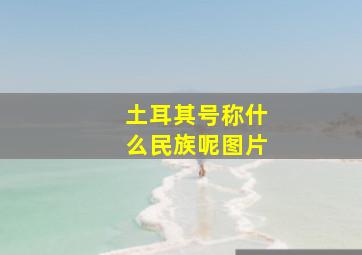 土耳其号称什么民族呢图片