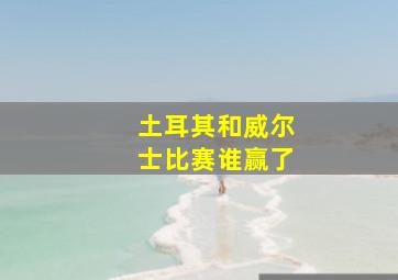 土耳其和威尔士比赛谁赢了