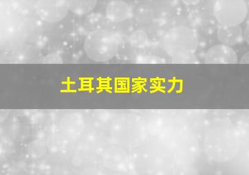 土耳其国家实力