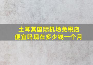 土耳其国际机场免税店便宜吗现在多少钱一个月