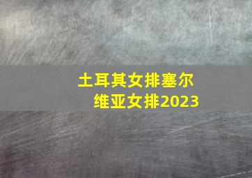 土耳其女排塞尔维亚女排2023