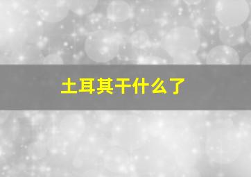 土耳其干什么了