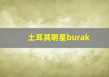 土耳其明星burak