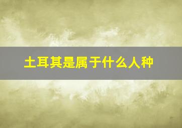 土耳其是属于什么人种