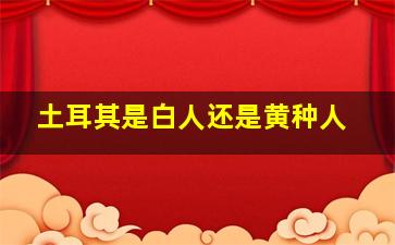 土耳其是白人还是黄种人