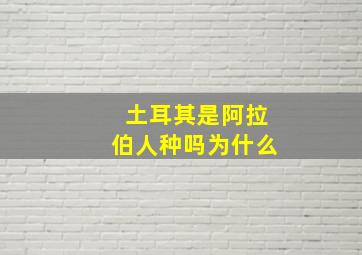 土耳其是阿拉伯人种吗为什么