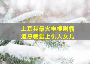 土耳其最火电视剧霸道总裁爱上仇人女儿