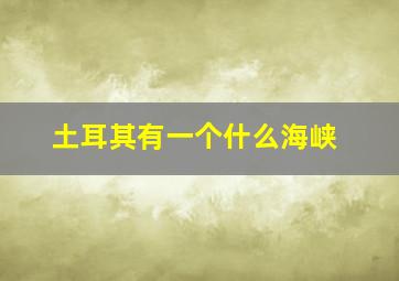 土耳其有一个什么海峡