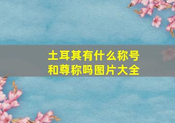 土耳其有什么称号和尊称吗图片大全