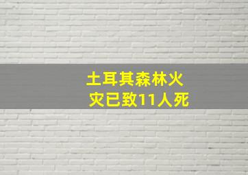 土耳其森林火灾已致11人死