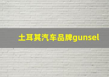 土耳其汽车品牌gunsel