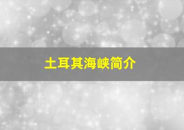 土耳其海峡简介