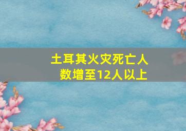 土耳其火灾死亡人数增至12人以上