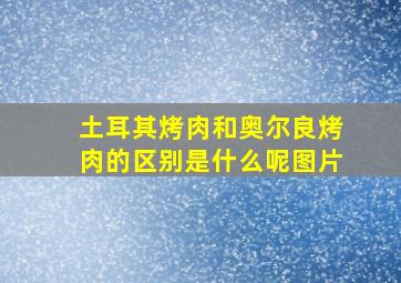 土耳其烤肉和奥尔良烤肉的区别是什么呢图片