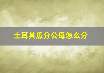 土耳其瓜分公母怎么分