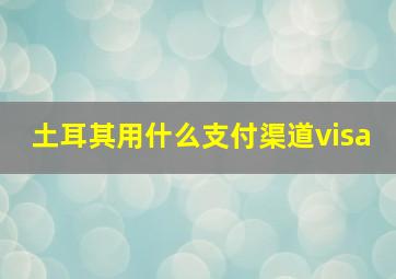 土耳其用什么支付渠道visa