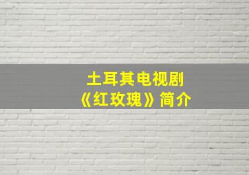 土耳其电视剧《红玫瑰》简介