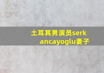 土耳其男演员serkancayoglu妻子