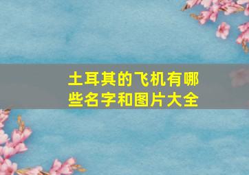 土耳其的飞机有哪些名字和图片大全