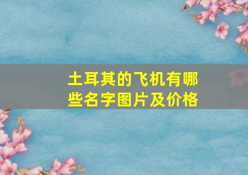 土耳其的飞机有哪些名字图片及价格