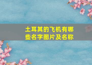 土耳其的飞机有哪些名字图片及名称