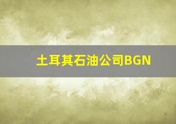 土耳其石油公司BGN