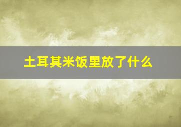 土耳其米饭里放了什么