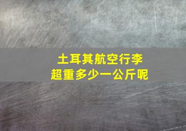 土耳其航空行李超重多少一公斤呢