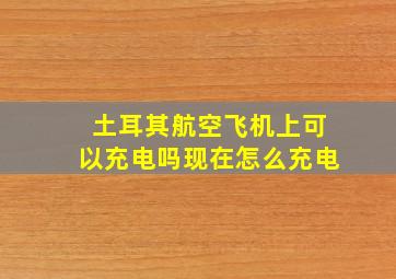 土耳其航空飞机上可以充电吗现在怎么充电