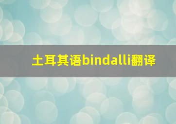 土耳其语bindalli翻译