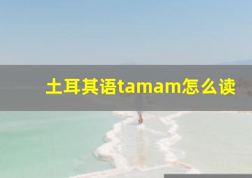 土耳其语tamam怎么读