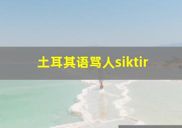 土耳其语骂人siktir