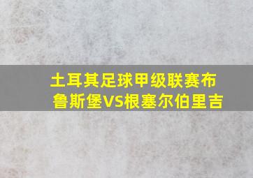 土耳其足球甲级联赛布鲁斯堡VS根塞尔伯里吉