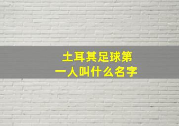 土耳其足球第一人叫什么名字