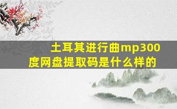 土耳其进行曲mp300度网盘提取码是什么样的